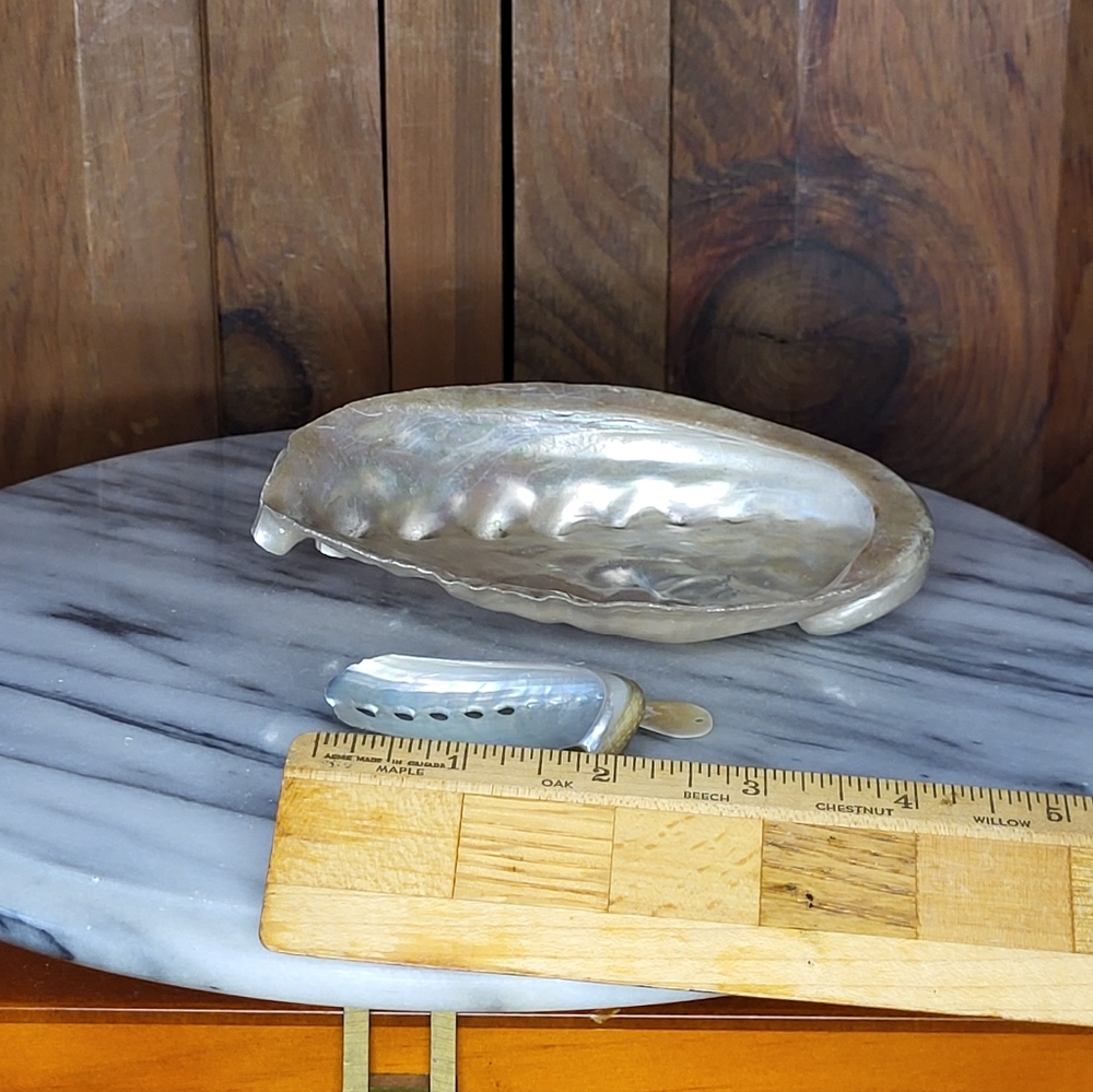Iridescent Abalone Shell Pair - Picture 10 of 16